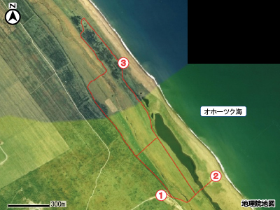 ベニヤ原生花園マップ