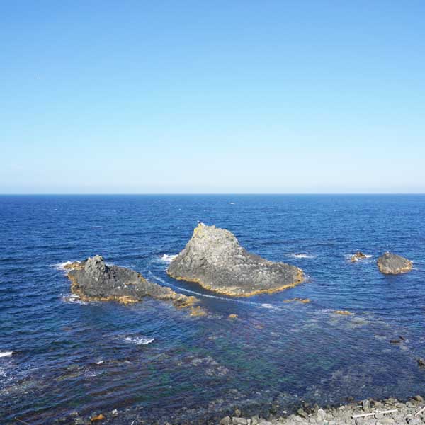 礼文島 スコトン岬 日本海