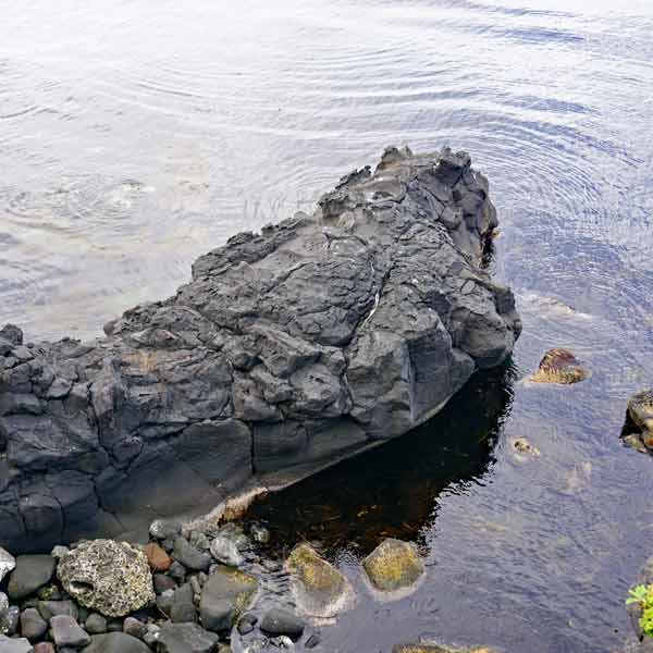 利尻島 寝熊の岩