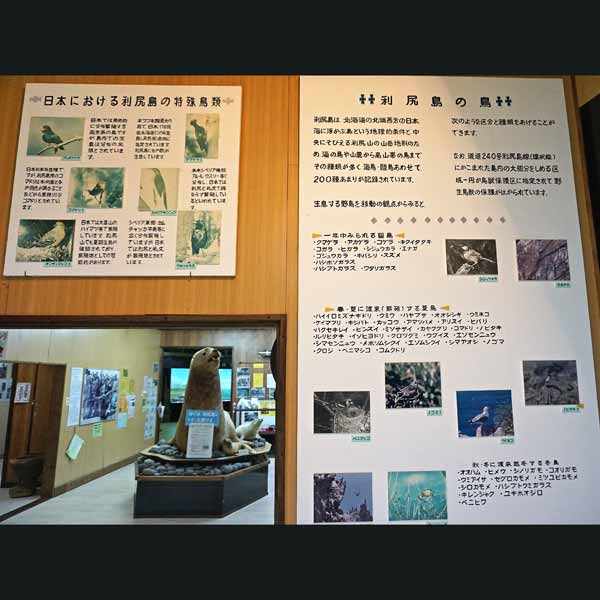 看板 日本における利尻島の特殊鳥類について