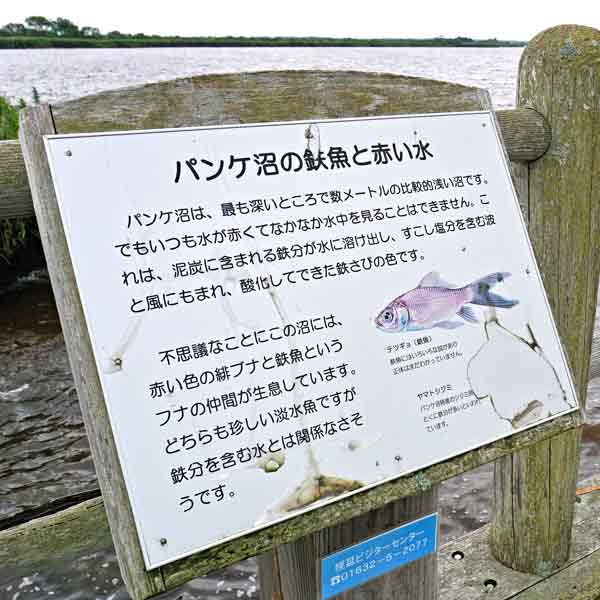 看板 パンケ沼の鉄魚と赤い水について