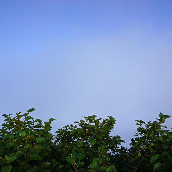 雲海テラス トマム山山頂