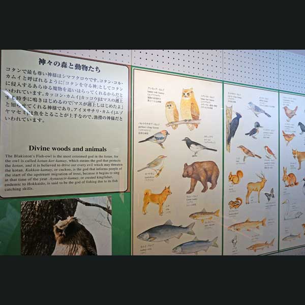 アイヌ民族資料館 神々の森と動物達について