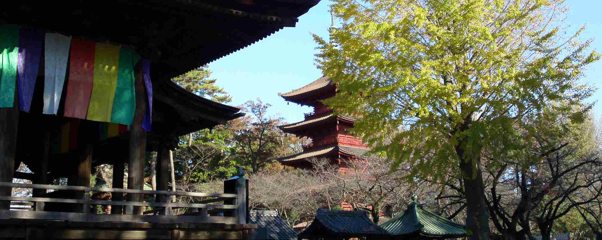 正中山 法華経寺