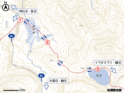 大沼マップ